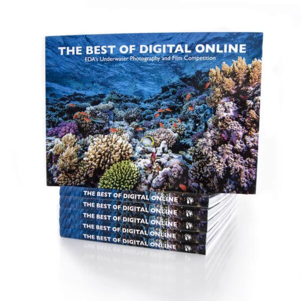The Best of Digital Online