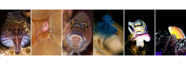 The Best of Digital Online - Image 6