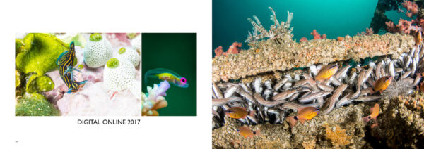 The Best of Digital Online - Image 8